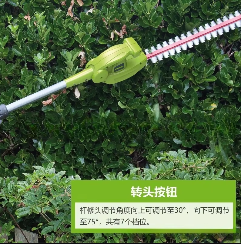 Greenworks 24V 2-en-1 Podadora de Altura + Cortasetos | Sierra 8" + Trimmer 51cm | Batería 2Ah + Cargador | Herramienta Telescópica